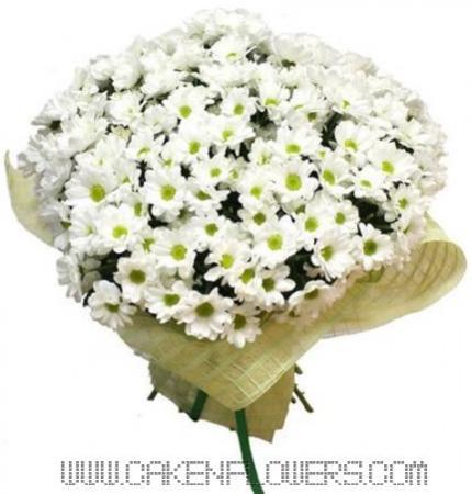 White Chrysanthemums Bouquet product108