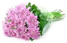 Bouquet of Chrysanthemums Bouquet of Chrysanthemums
