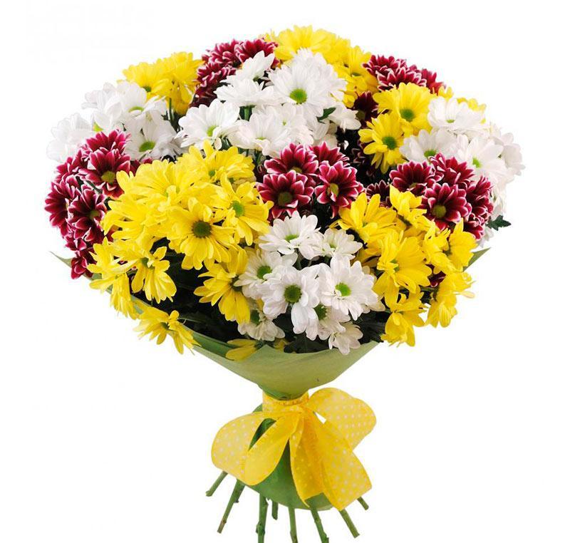 Beautiful bouquet of Chrysanthemums product1236