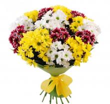Beautiful bouquet of Chrysanthemums Beautiful bouquet of Chrysanthemums