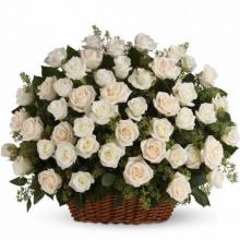 Blissful Gift
