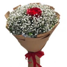 Single Red Rose Bouquet Single Red Rose Bouquet